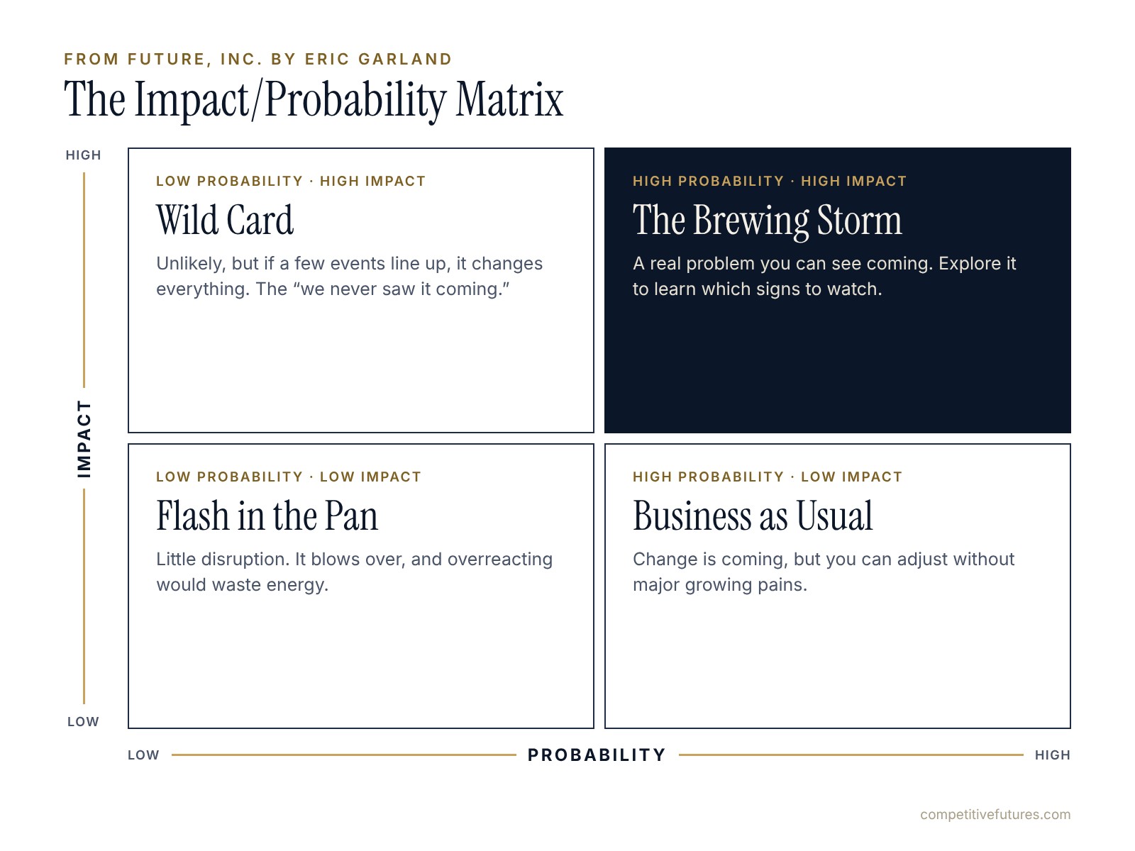 Impact/Probability Matrix: Wild Card, Brewing Storm, Flash in the Pan and Business as Usual quadrants by impact and probability