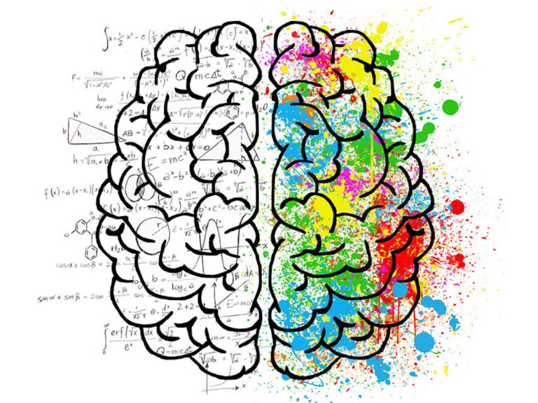 Learn from the cognitive difference in others - a critical intelligence skill