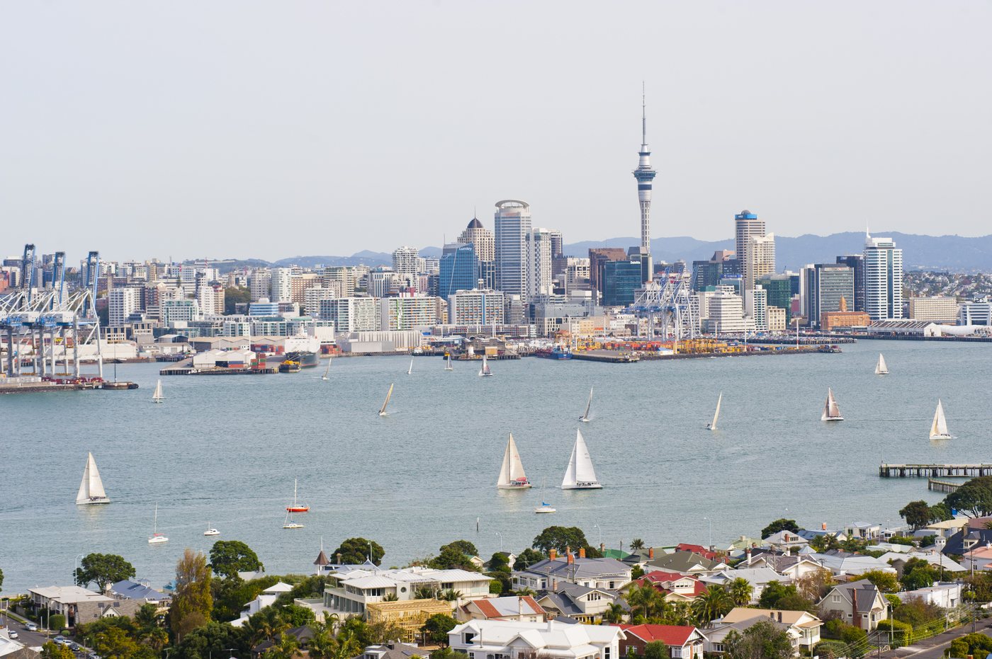 Sailboats in Auckland’s Waitematā Harbour, where French intelligence agents sank the Rainbow Warrior in 1985