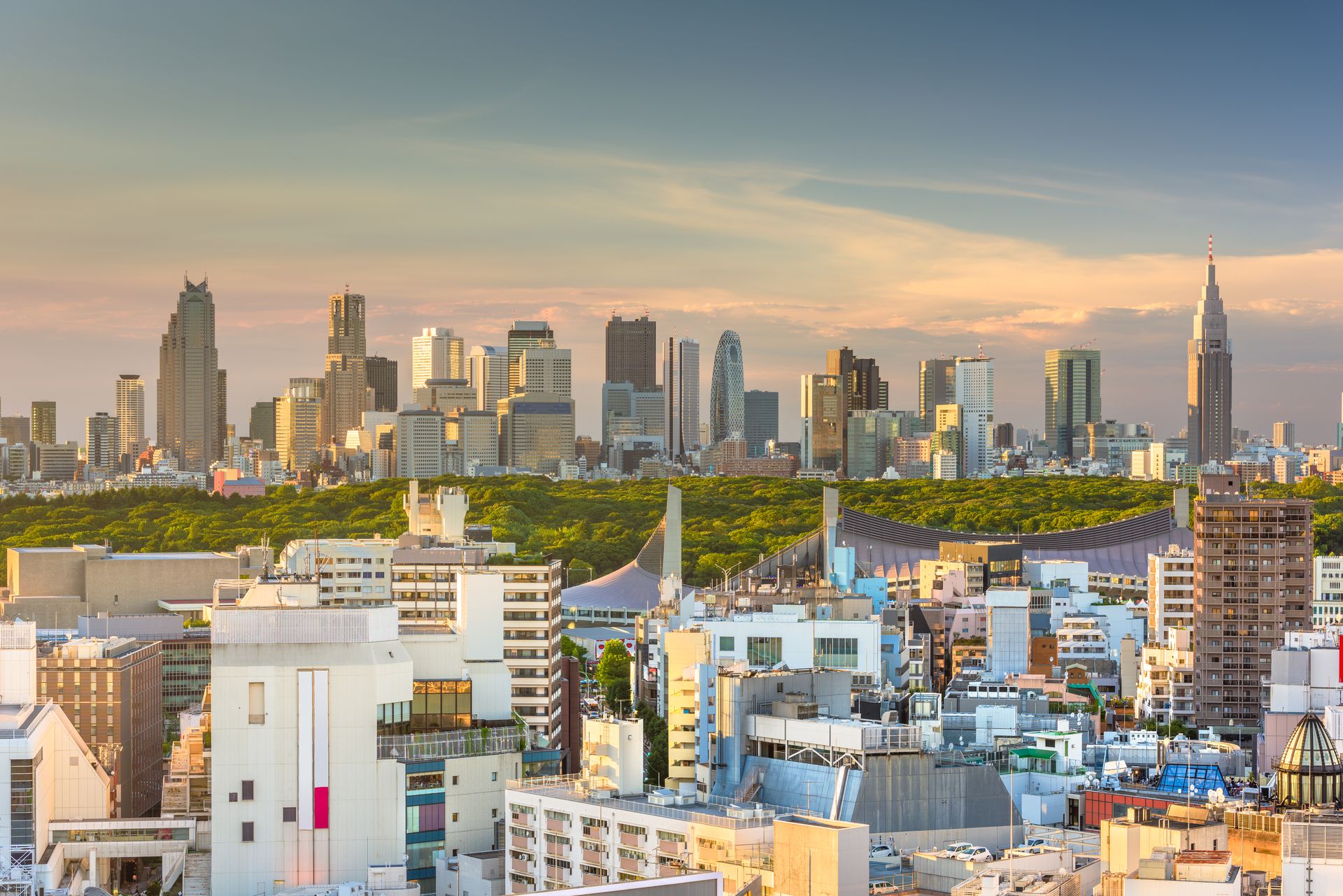 Tokyo skyline, home of Japanese intelligence and the new National Intelligence Bureau